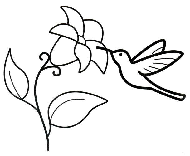 Hummingbird and flower coloring page
