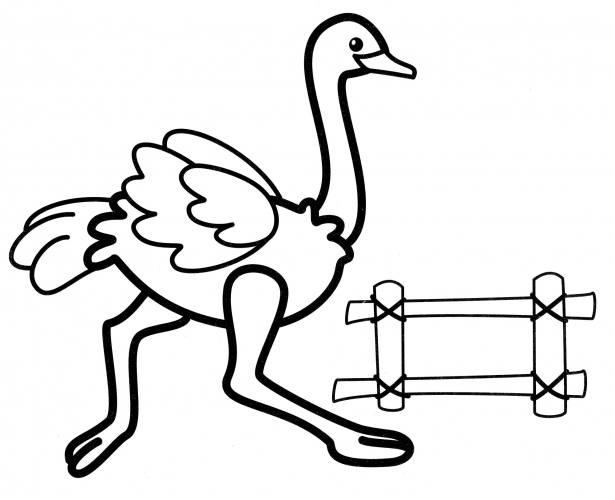 Running ostrich coloring page