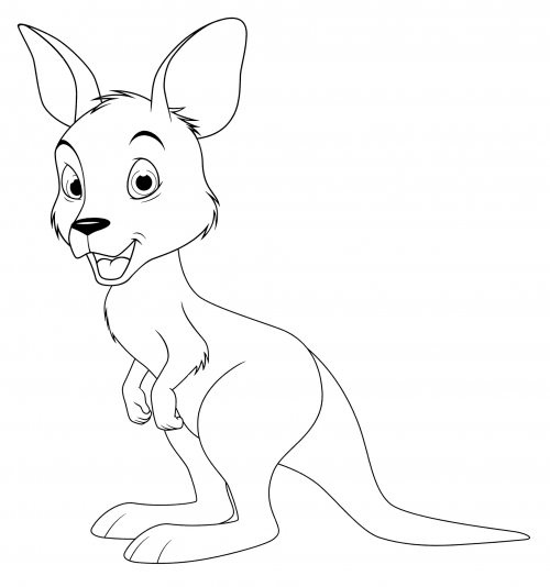 Creative Kangaroo coloring page