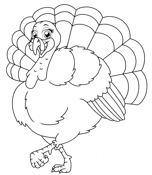 Turkey with a beautiful tail coloring page