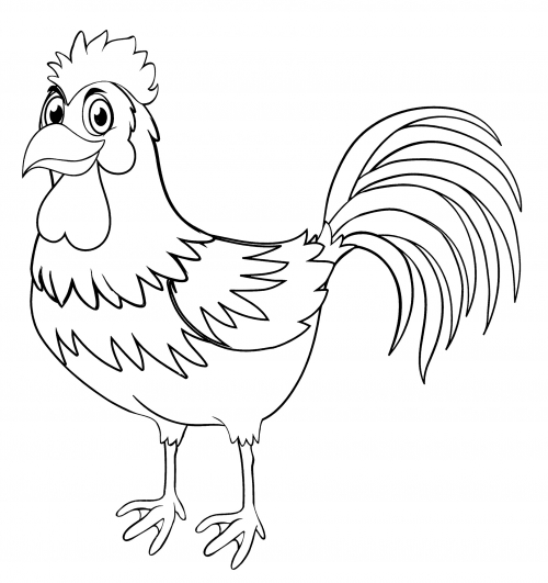 Caring rooster coloring page