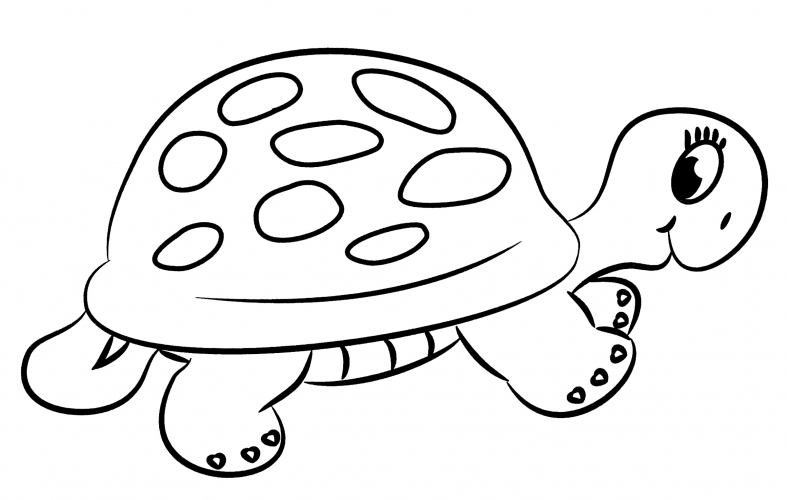Slow-moving turtle coloring page