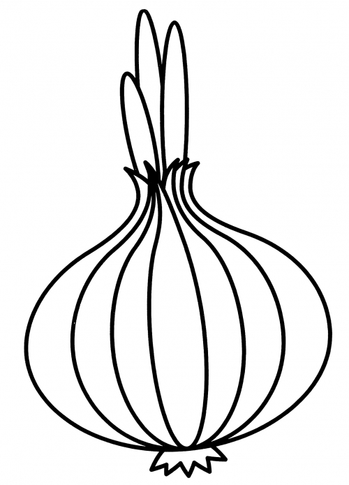 Healthy onion coloring page