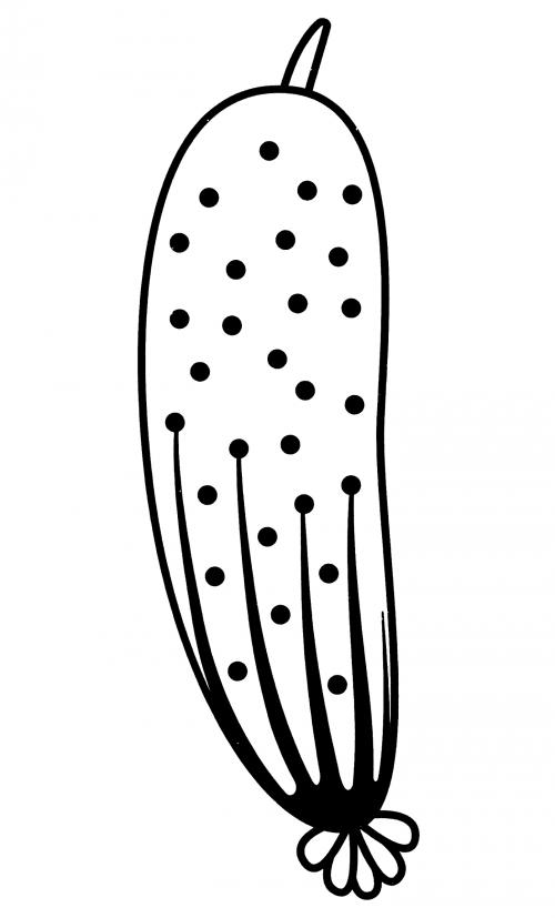 Cucumber with spots coloring page