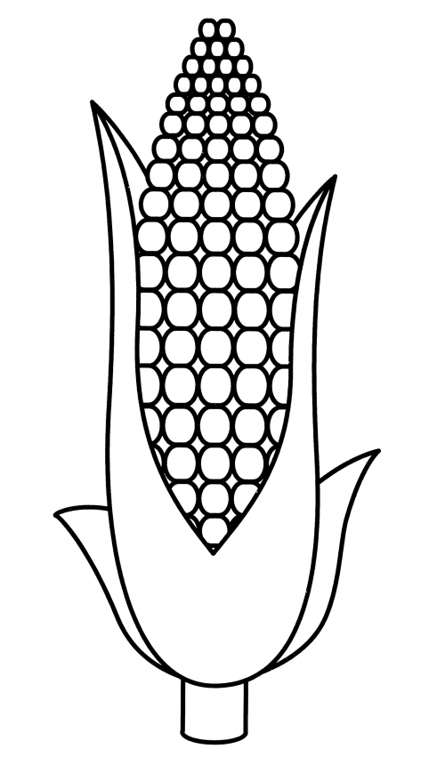 Sweet corn coloring page
