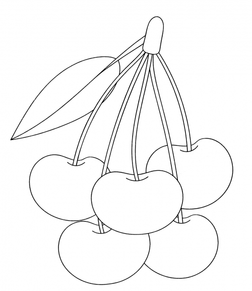 Ripe cherry coloring page