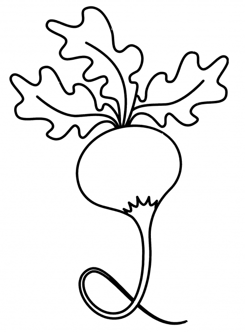 Nice beetroot coloring page