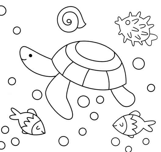 Turtle and sea urchin coloring page
