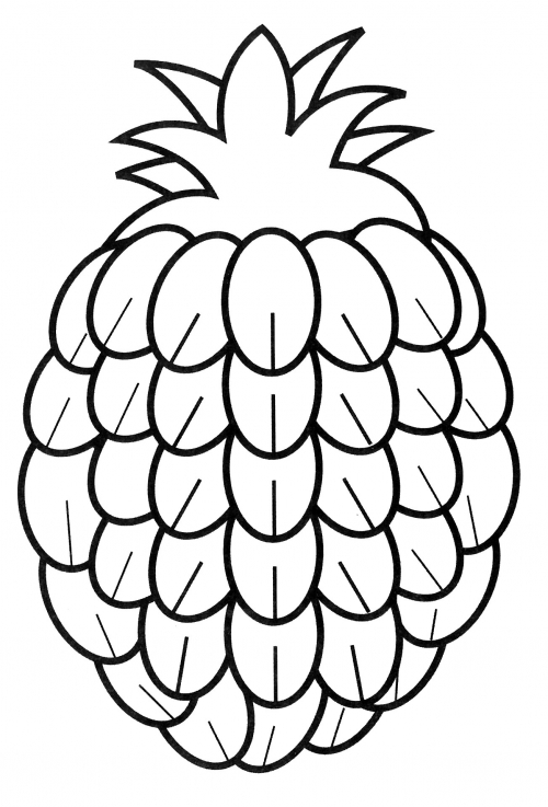 Beautiful pineapple coloring page
