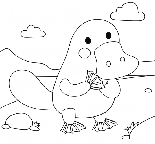 Cute platypus coloring page