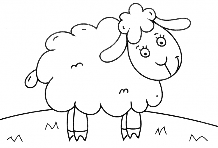 Sheep in the meadow coloring page