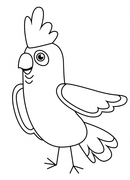 Extraordinary parrot coloring page