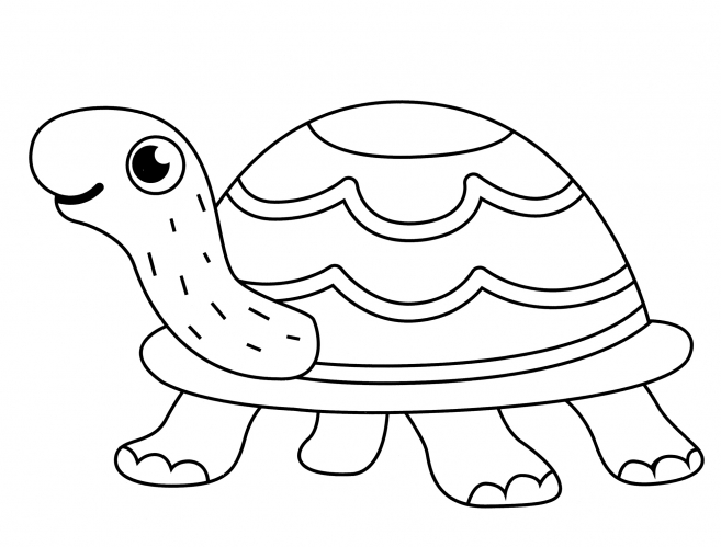 Adorable turtle coloring page