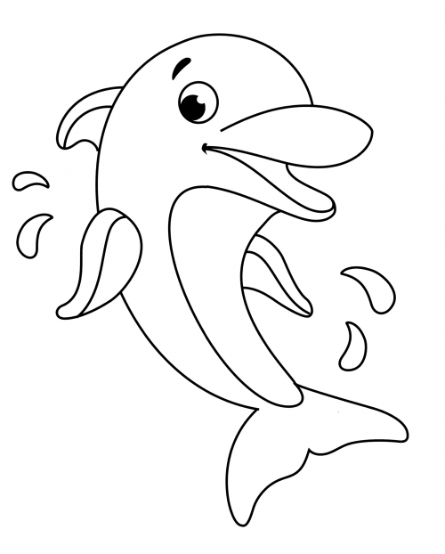 Marvellous dolphin coloring page