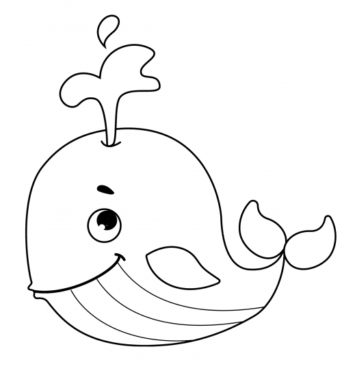 Graceful whale coloring page