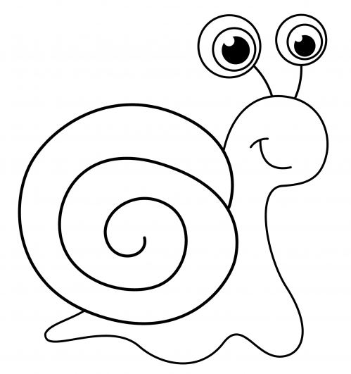 Elegant snail coloring page