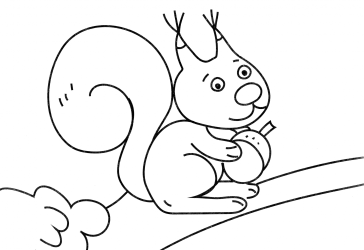 Squirrel with a nut coloring page