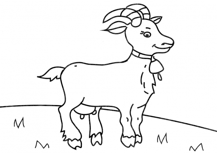 Goat with a bell coloring page