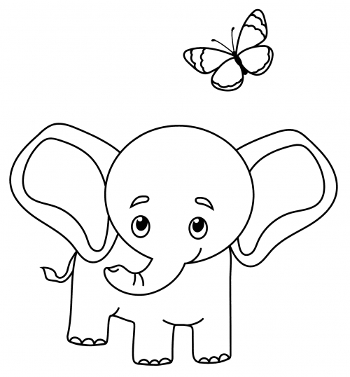 Elephant is looking at the butterfly coloring page