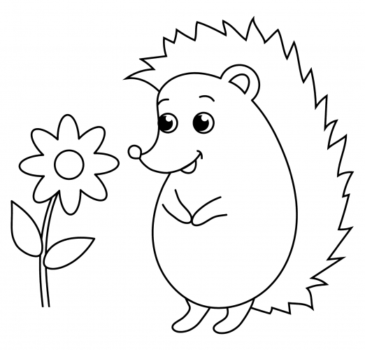 Hedgehog looks at the flower coloring page