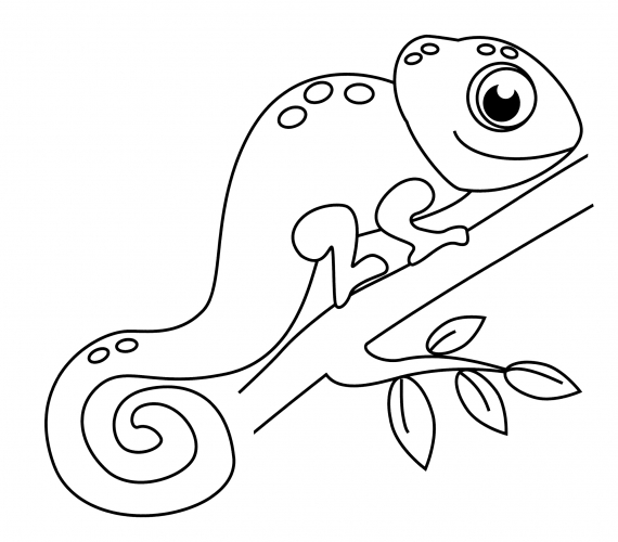 Beautiful chameleon coloring page