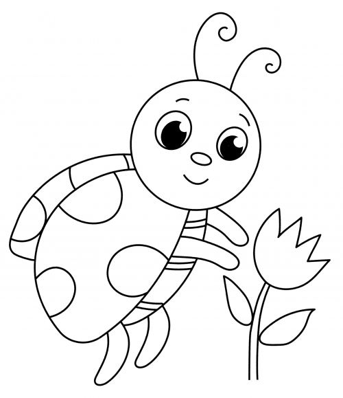 Beautiful ladybird coloring page