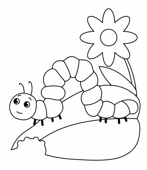 Shy caterpillar coloring page