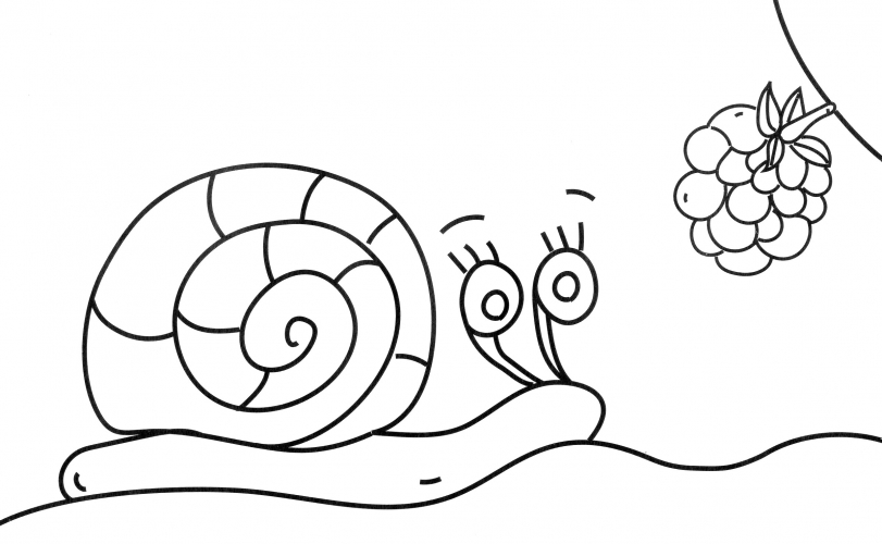 Snail and Berry coloring page