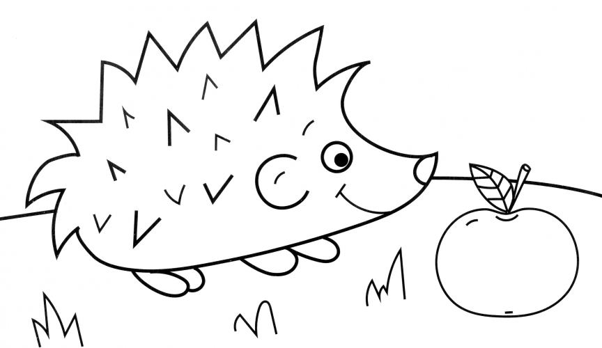 Hedgehog found an apple coloring page