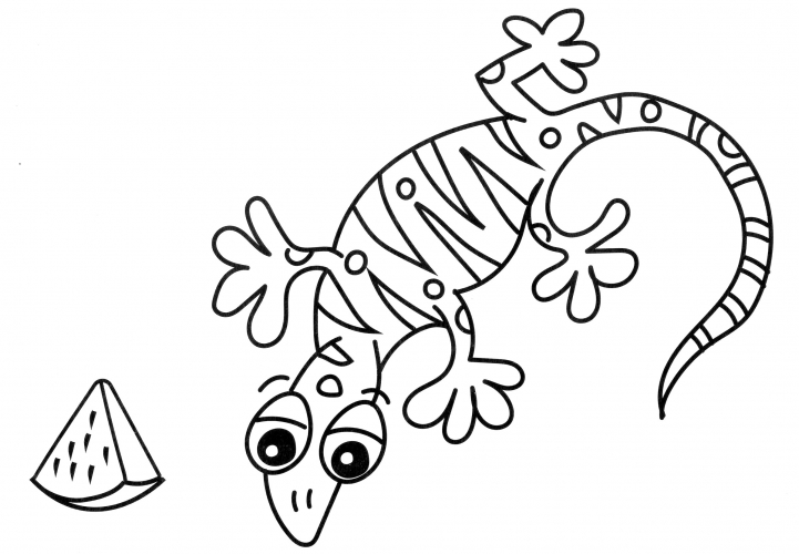 Little Lizard coloring page