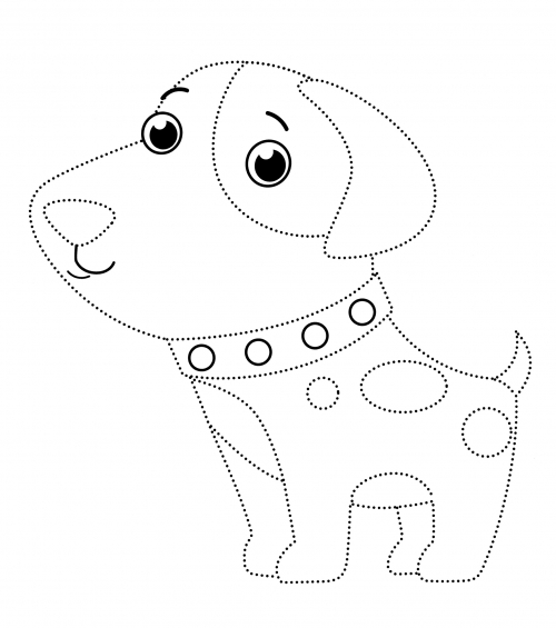 Puppy with a nice collar coloring page