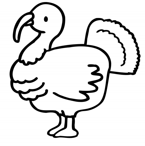 Little turkey coloring page