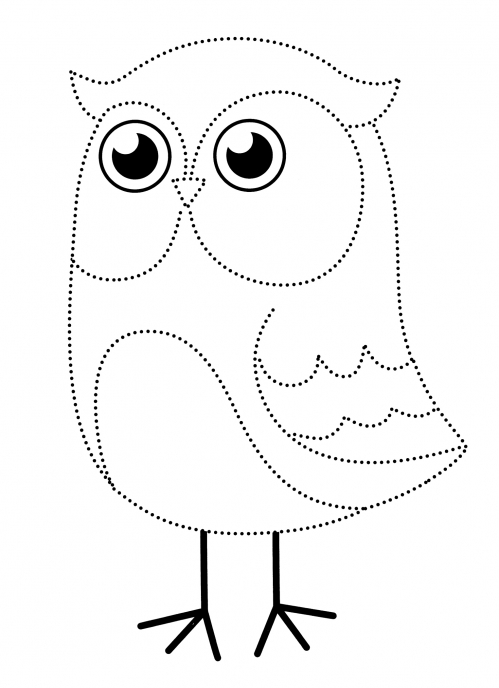 Judicious owl coloring page