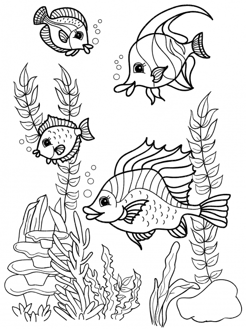 Fish in algae coloring page