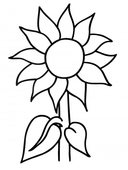 Nice sunflower coloring page
