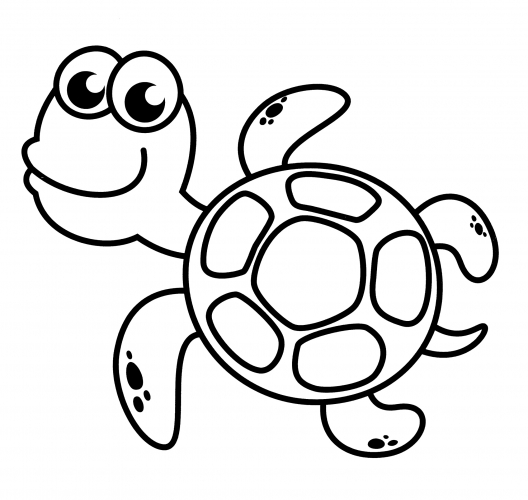 Turtle with a round shell. coloring page