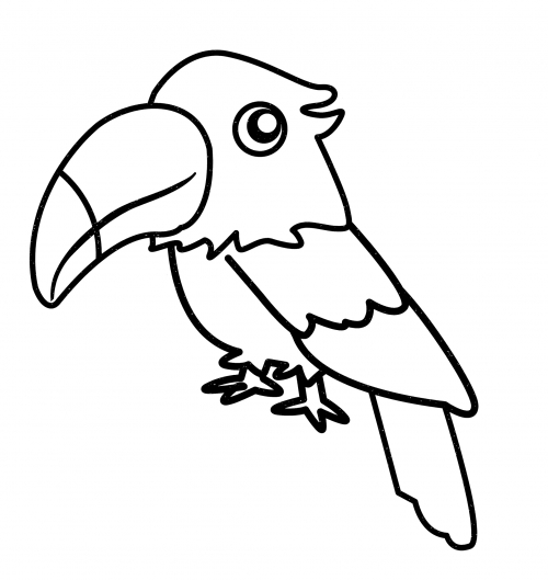 Toucan with a big beak coloring page