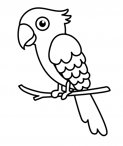 Bizarre parrot coloring page