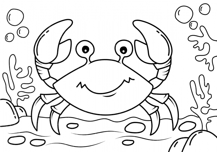 Nice crab coloring page