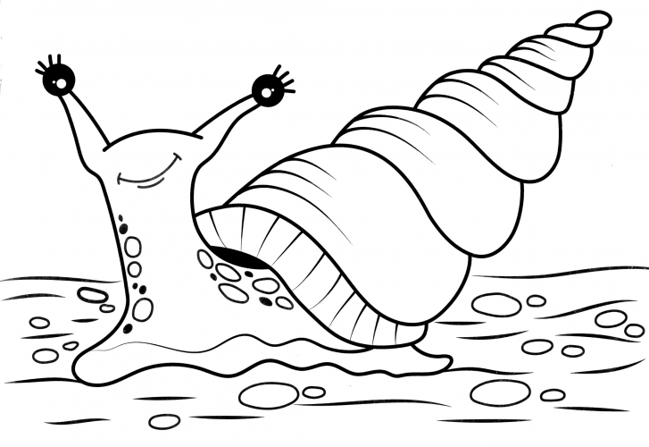 Snail with house coloring page