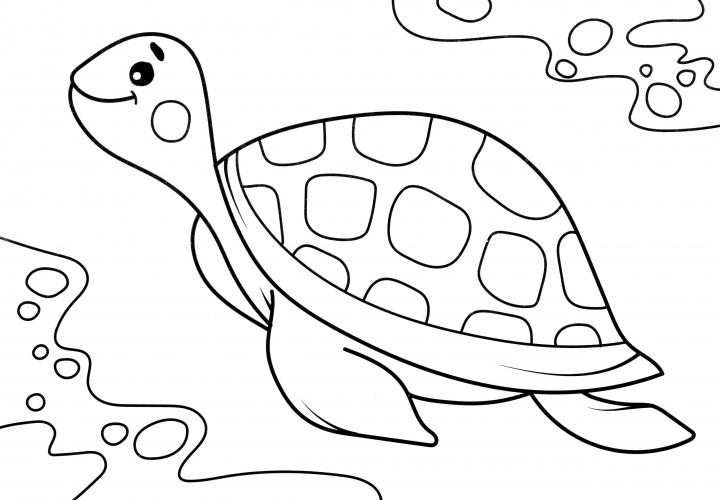 Swimming turtle coloring page