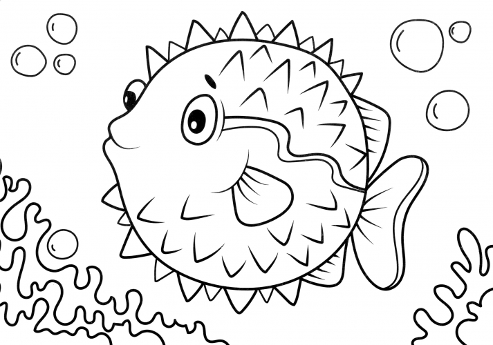 Sweet Fugu fish coloring page