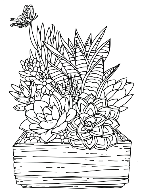 Potted succulents coloring page