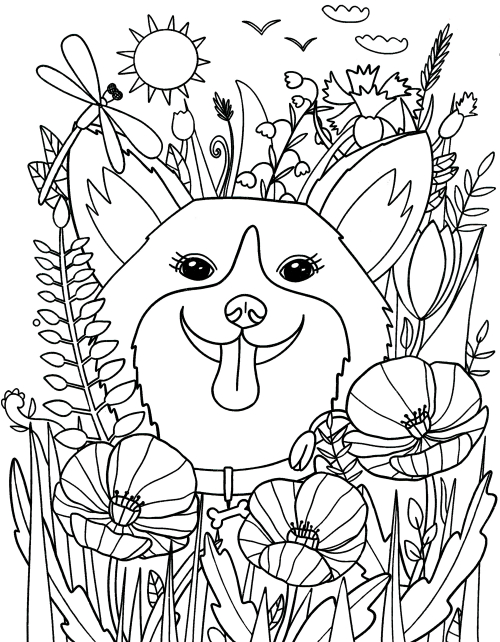 Poppies and other flowers coloring page