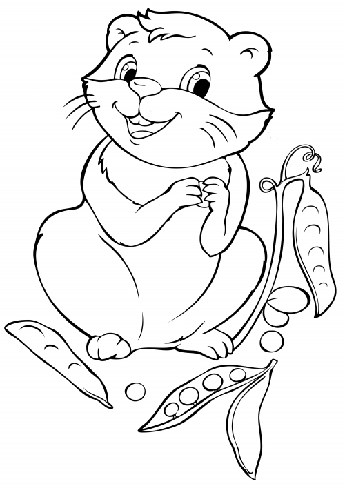 Puffy hamster coloring page