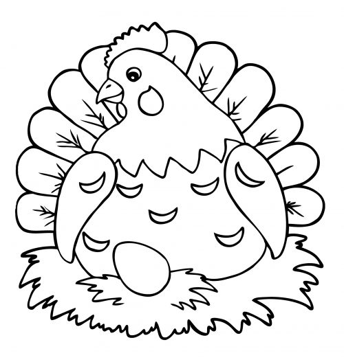 Hen is incubating the eggs coloring page