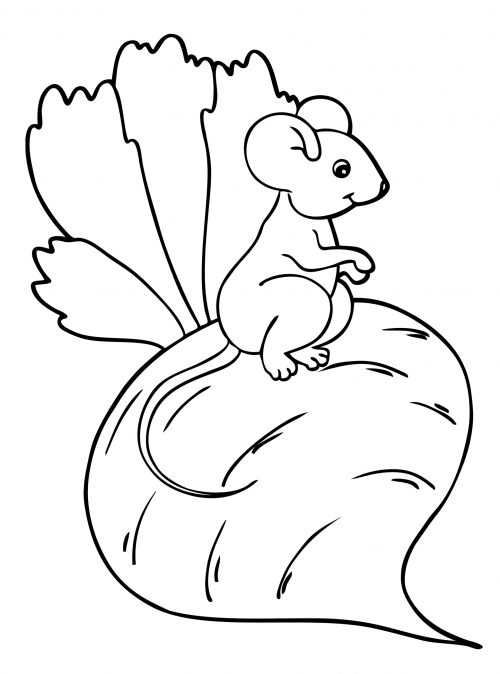 Mouse sits on a beetroot coloring page