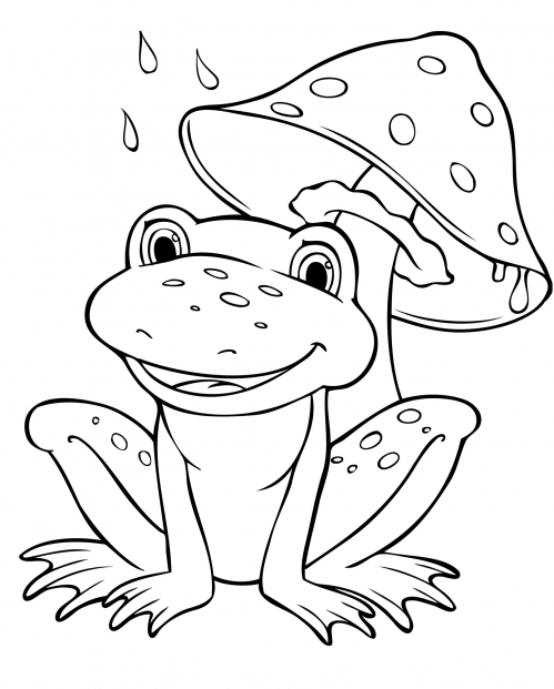 Frog hides under a fly agaric coloring page