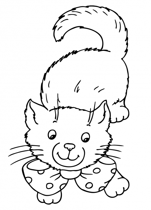 Playful kitten coloring page