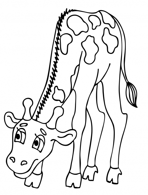 Curious giraffe coloring page